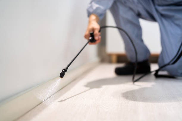 Rodent Entry Point Assessment in Wichita