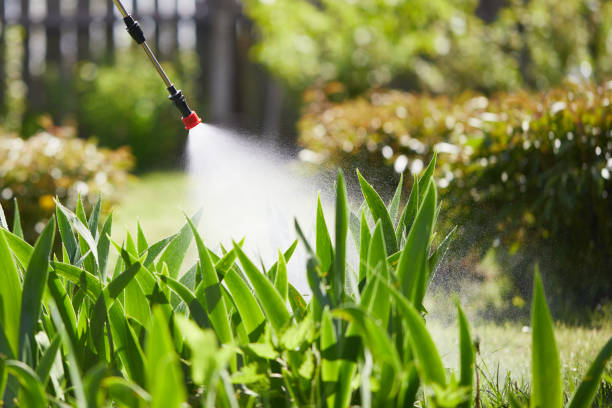 Tamper-Resistant Bait Stations for Rodents in Wichita