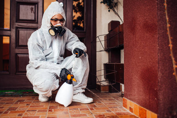 Attic and Crawl Space Rodent Treatment in Wichita