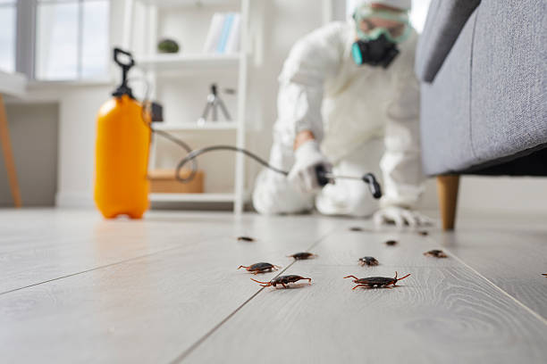 Commercial Rodent Management in Wichita